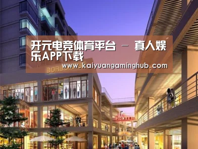 案例展示一