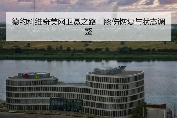 de-yue-ke-wei-qi-mei-wang-wei-mian-zhi-lu-xi-shang-hui-fu-yu-zhuang-tai-tiao-zheng-2-517.jpg