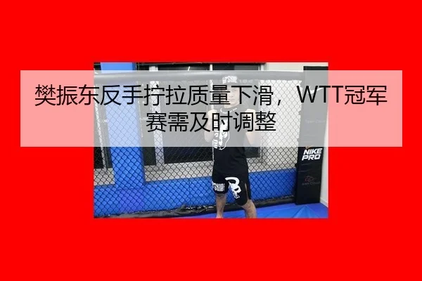 樊振东反手拧拉质量下滑，WTT冠军赛需及时调整