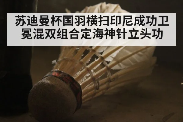 苏迪曼杯国羽横扫印尼成功卫冕混双组合定海神针立头功