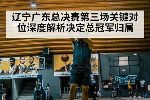 辽宁广东总决赛第三场关键对位深度解析决定总冠军归属